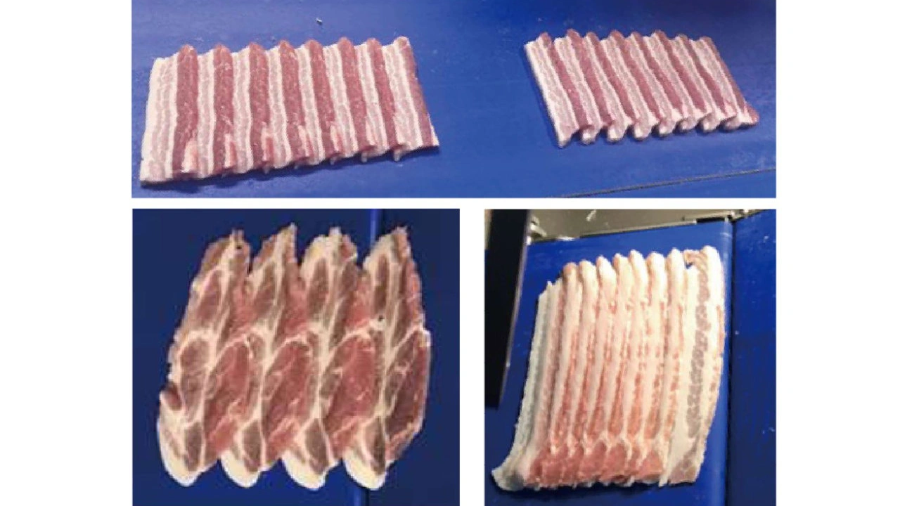 南常高速自動鮮肉切片機<br/>High Speed Auto Fresh Meat Slicer - Image 3