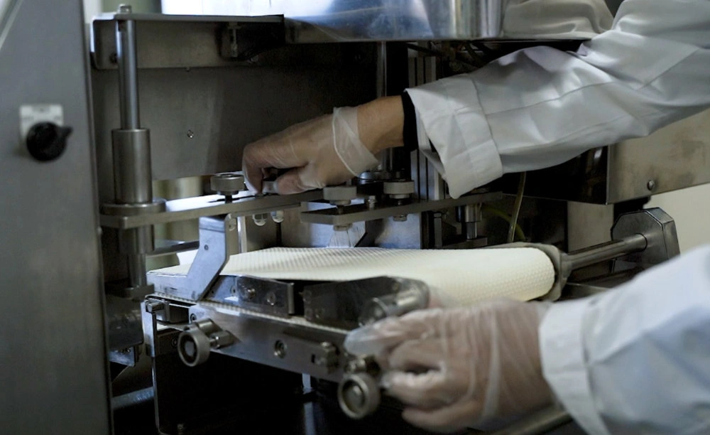 日本南常多功能切片機<br/>Multi Slicer - Image 3